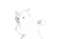 bajax's avatar